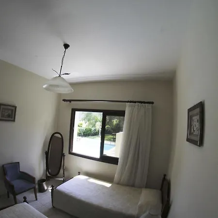 Eve Rozaki פיסורי